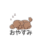 トイプードル（ブラウン、アプリコット）（個別スタンプ：2）
