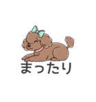 トイプードル（ブラウン、アプリコット）（個別スタンプ：5）