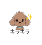 トイプードル（ブラウン、アプリコット）（個別スタンプ：12）