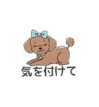 トイプードル（ブラウン、アプリコット）（個別スタンプ：14）