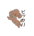 トイプードル（ブラウン、アプリコット）（個別スタンプ：25）