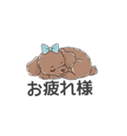 トイプードル（ブラウン、アプリコット）（個別スタンプ：26）
