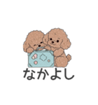 トイプードル（ブラウン、アプリコット）（個別スタンプ：34）