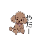 トイプードル（ブラウン、アプリコット）（個別スタンプ：37）
