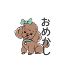 トイプードル（ブラウン、アプリコット）（個別スタンプ：38）