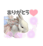 もちさんのたっぷりスタンプ（個別スタンプ：12）