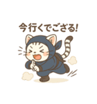 白虎くんのゆるっと～忍者編～（個別スタンプ：13）
