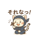 白虎くんのゆるっと～忍者編～（個別スタンプ：14）