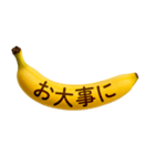 バナナメッセージ-日常2（個別スタンプ：11）