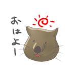 今日のウォンバット（個別スタンプ：1）