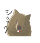 今日のウォンバット（個別スタンプ：2）