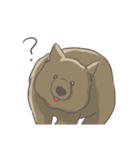 今日のウォンバット（個別スタンプ：3）
