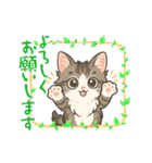 『ノルウェージャンフォレストキャット』（個別スタンプ：5）