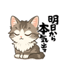 『ノルウェージャンフォレストキャット』（個別スタンプ：7）