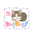 『ノルウェージャンフォレストキャット』（個別スタンプ：9）