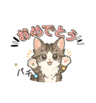 『ノルウェージャンフォレストキャット』（個別スタンプ：13）