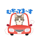 『ノルウェージャンフォレストキャット』（個別スタンプ：15）