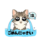 『ノルウェージャンフォレストキャット』（個別スタンプ：21）