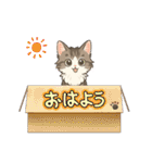 『ノルウェージャンフォレストキャット』（個別スタンプ：29）