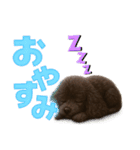 スタンダードプードルの見やすい日常会話（個別スタンプ：3）