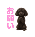 スタンダードプードルの見やすい日常会話（個別スタンプ：17）
