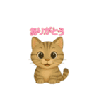 ねこちゃんの日常で使えるスタンプ（個別スタンプ：5）