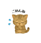 ねこちゃんの日常で使えるスタンプ（個別スタンプ：6）