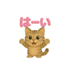 ねこちゃんの日常で使えるスタンプ（個別スタンプ：8）