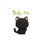 ねこちゃんの日常で使えるスタンプ（個別スタンプ：15）