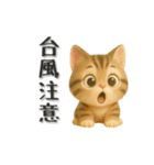 ねこちゃんの日常で使えるスタンプ（個別スタンプ：35）