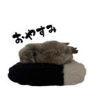 モリフクロウのテト（個別スタンプ：3）