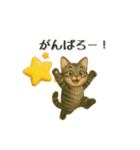わんちゃんねこちゃん大集合‼️日常使い◎（個別スタンプ：29）