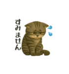 わんちゃんねこちゃん大集合‼️日常使い◎（個別スタンプ：30）