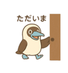 かわいいカツオドリ親子の会話スタンプ（個別スタンプ：7）