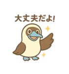 かわいいカツオドリ親子の会話スタンプ（個別スタンプ：19）