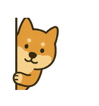 こっそり覗く可愛い動物たち（個別スタンプ：2）