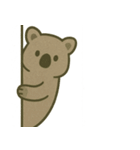 こっそり覗く可愛い動物たち（個別スタンプ：6）