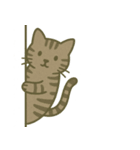 こっそり覗く可愛い動物たち（個別スタンプ：17）