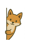 こっそり覗く可愛い動物たち（個別スタンプ：19）