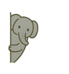 こっそり覗く可愛い動物たち（個別スタンプ：21）