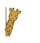 こっそり覗く可愛い動物たち（個別スタンプ：23）