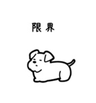いつでも使えるシュナウザー（白）（個別スタンプ：8）