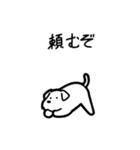 いつでも使えるシュナウザー（白）（個別スタンプ：17）