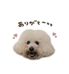 くるみちゃん♡mix（個別スタンプ：4）