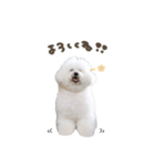 くるみちゃん♡mix（個別スタンプ：9）