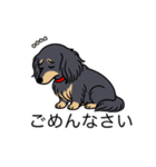 名前入りダックスロングブラックイエロー（個別スタンプ：2）