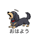 名前入りダックスロングブラックイエロー（個別スタンプ：3）