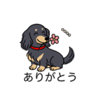 名前入りダックスロングブラックイエロー（個別スタンプ：5）