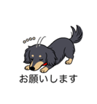 名前入りダックスロングブラックイエロー（個別スタンプ：7）