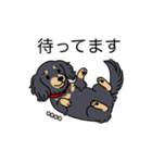 名前入りダックスロングブラックイエロー（個別スタンプ：10）